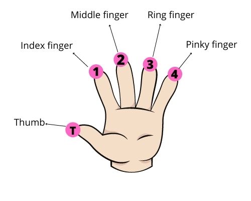 fingers for each chord string