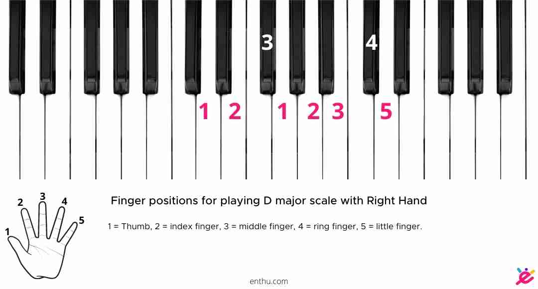 finger position label on piano keys