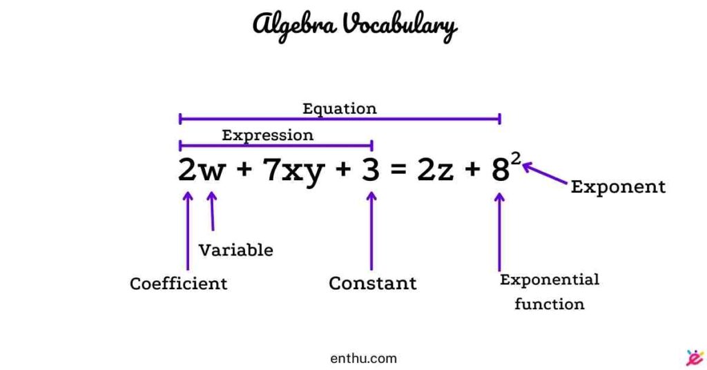 math vocabulary - algebra