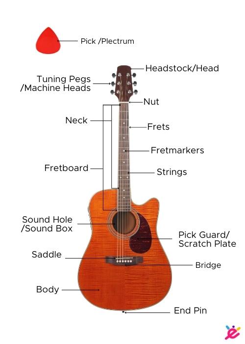 all the parts of a guitar