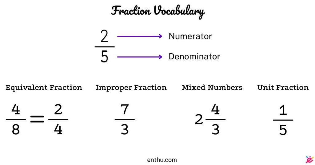 math vocabulary - fractions