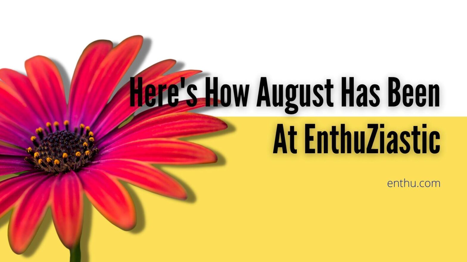 august enthuziastic newsletter