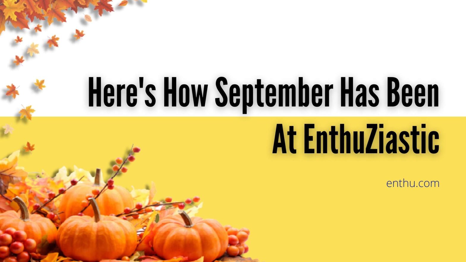 september at enthuziastic
