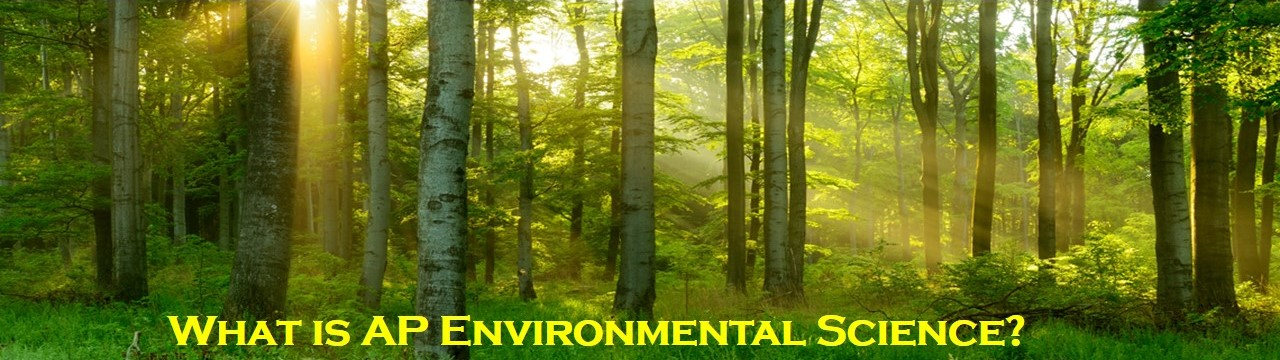 AP Environmental Science 